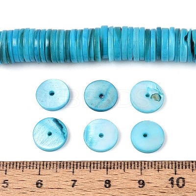 Natural Freshwater Shell Beads Strands SHEL-N037-03A-03-1