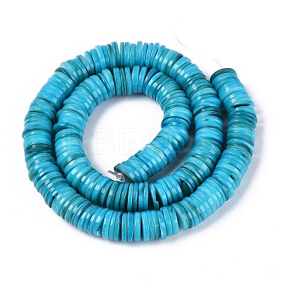 Natural Freshwater Shell Beads Strands SHEL-N037-03A-03-1