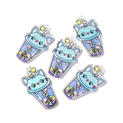 Transparent Printed Acrylic Pendants LS-TACR-G042-01E-1