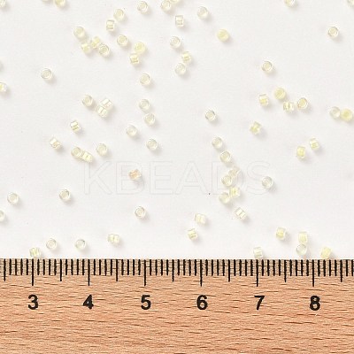 Cylinder Seed Beads SEED-H001-A08-1