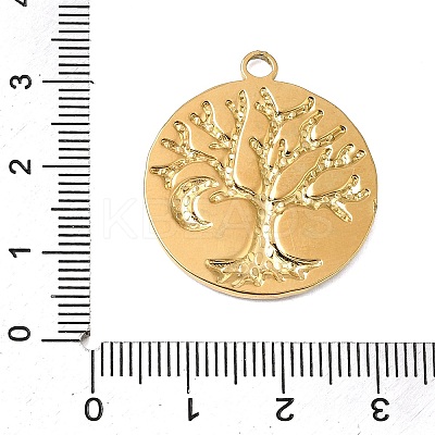 304 Stainless Steel Pendants STAS-N108-111G-05-1