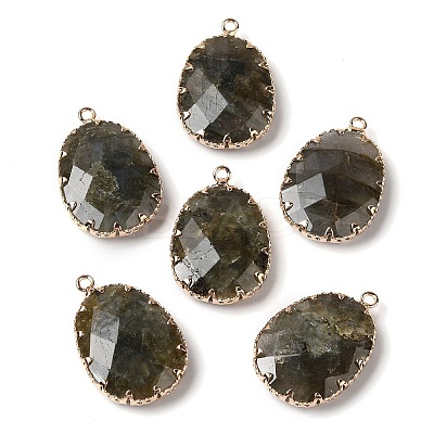 Natural Labradorite Faceted Pendants G-Q169-01G-03-1