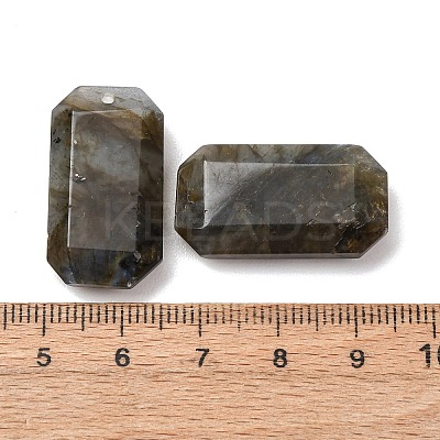 Natural Labradorite Pendants G-H325-03-06-1