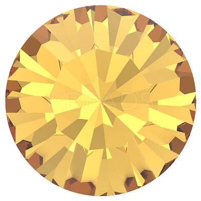 Preciosa® MAXIMA Crystal Round Stones X-PRC-RBSS29-10070-1