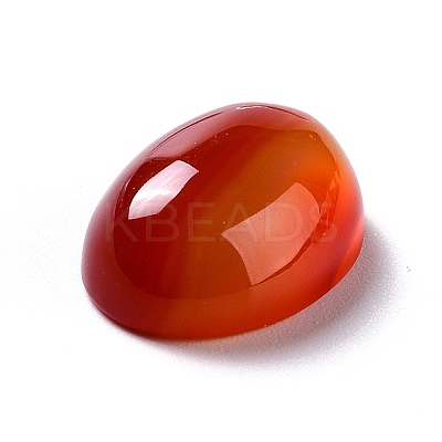 Oval Natural Carnelian Cabochons LS-G-K020-20x15mm-05-1