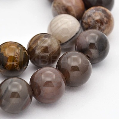 Natural Petrified Wood Round Beads Strands G-P101-01-6mm-1
