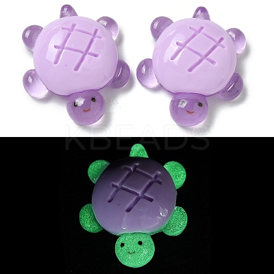 Luminous Resin Cabochons RESI-M047-01D-1