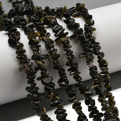 Natural Golden Sheen Obsidian Beads Strands G-G0003-B46-1