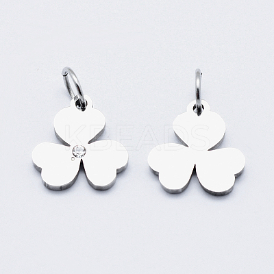 Eco-Friendly 316 Surgical Stainless Steel Micro Pave Cubic Zirconia Charms LS-RB-I078-79P-NR-1