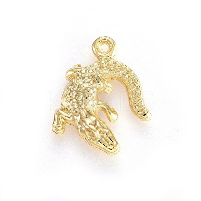 Alloy Pendants X-TIBEP-A040-015G-NR-1