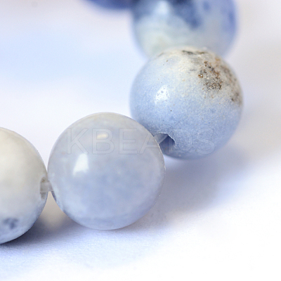 Natural Sodalite Round Bead Strands X-G-E334-10mm-08-1