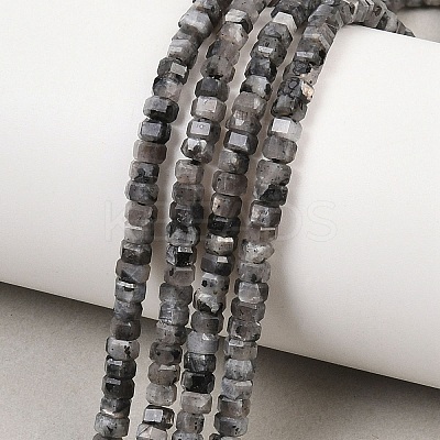 Natural Larvikite Beads Strands G-G345-C05-2x4mm-1