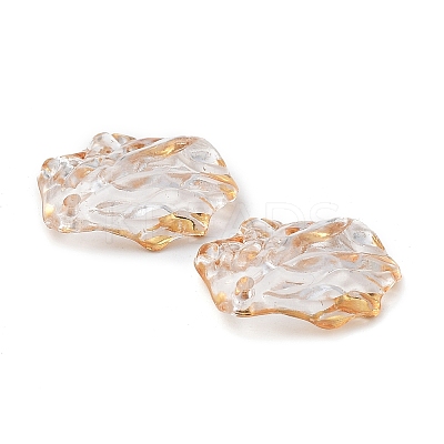 Transparent Acrylic Pendants X-TACR-D013-03-1
