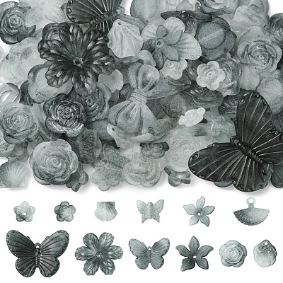 60G Transparent Acrylic Beads OACR-FS0001-90D-1