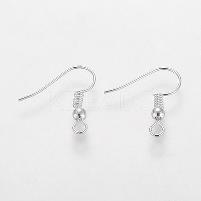 Grade A Silver Color Plated Iron Earring Hooks X-EC135-S-NF-1