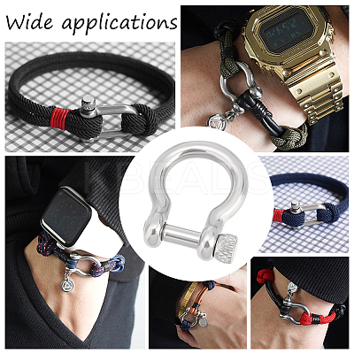 10Pcs 304 Stainless Steel D-Ring Anchor Shackle Clasps STAS-UN0039-91-1