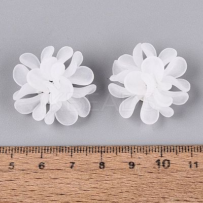 Frosted Transparent Acrylic Cabochons AC-N177-01A-01-1