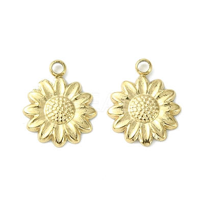 304 Stainless Steel Charms STAS-L269-019G-1