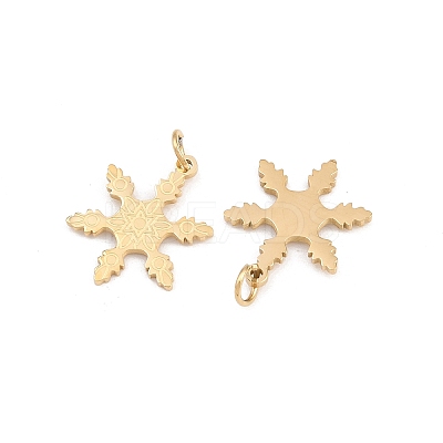 304 Stainless Steel Charms STAS-H241-32G-1
