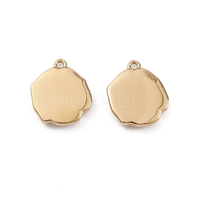 Ion Plating(IP) 304 Stainless Steel Pendants STAS-G309-01G-1