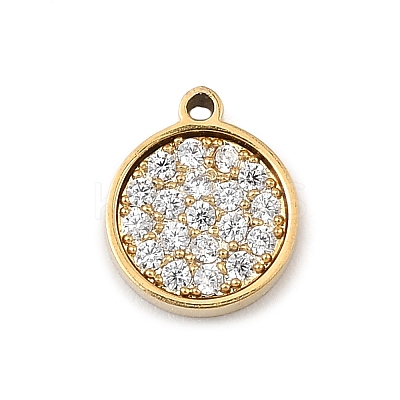 304 Stainless Steel Micro Pave Cubic Zirconia Charms STAS-I356-04G-01-1