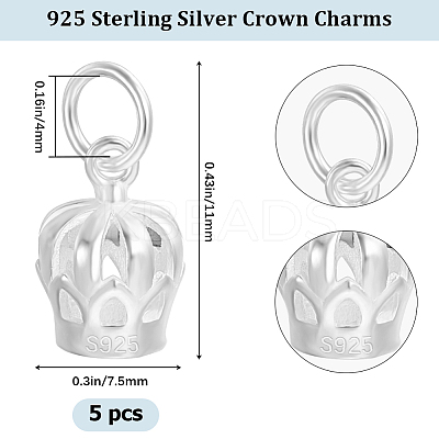 5Pcs 925 Sterling Silver Charms STER-BBC0002-19-1