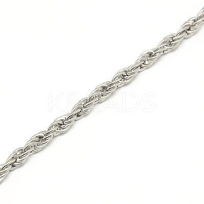 Tarnish Resistant Fashionable 304 Stainless Steel Rope Chain Necklace Making STAS-A028-N052P-1