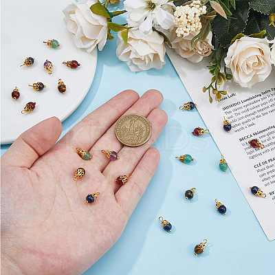 120Pcs Natural Mixed Gemstone Round Charms G-HS0001-06-1