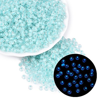 FGB Grade A Transparent Glass Seed Beads SEED-Q040-03A-02-1
