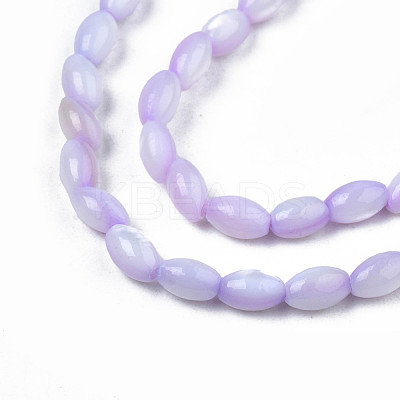 Natural Freshwater Shell Beads Strands SHEL-N003-25-B04-1