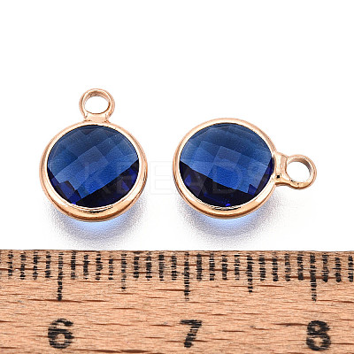 Golden Tone Brass Glass Charms X-GLAA-ZX008-24C-G-1