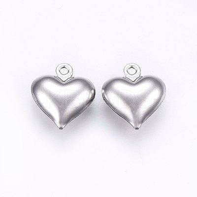 Tarnish Resistant 304 Stainless Steel Charms STAS-E438-19P-1