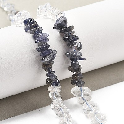 Natural Quartz Crystal & Iolite Beads Strands G-L610-A30-01-1