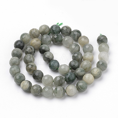 Natural Green Line Jasper Beads Strands LS-G-Q462-102-6mm-1
