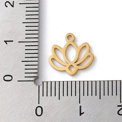 304 Stainless Steel Pendants STAS-P338-02G-1