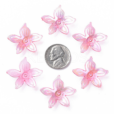 Transparent Acrylic Beads MACR-S373-102-C-1