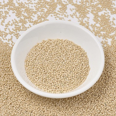 MIYUKI Delica Beads X-SEED-J020-DB1591-1