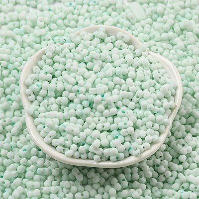 Macaron Color Opaque Frosted Glass Seed Beads X1-SEED-K009-12B-07-1