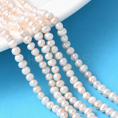 Natural Cultured Freshwater Pearl Beads Strands PEAR-I007-07L-04-1