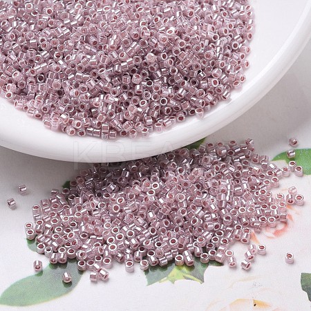 MIYUKI Delica Beads SEED-X0054-DB0256-1