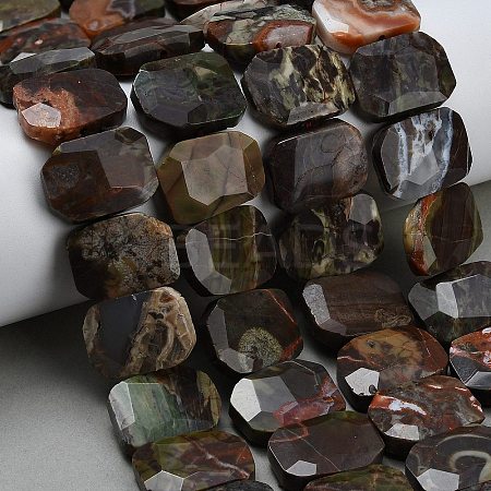 Natural Wealth Stone Beads Strands G-C285-A09-01-1