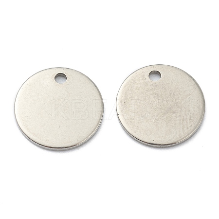 Tarnish Resistant 304 Stainless Steel Charms LS-STAS-H157-05P-1