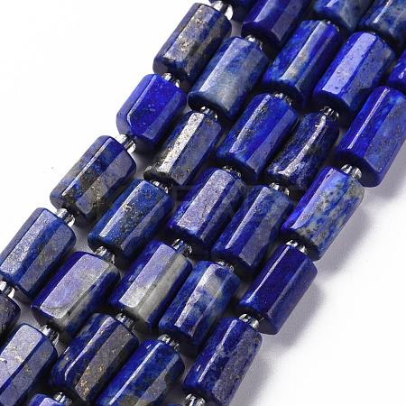 Natural Lapis Lazuli Beads Strands X-G-S345-8x11-002-1