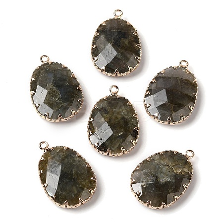 Natural Labradorite Faceted Pendants G-Q169-01G-03-1