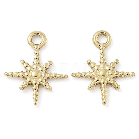 Ion Plating(IP) 304 Stainless Steel Charms STAS-U032-14G-1