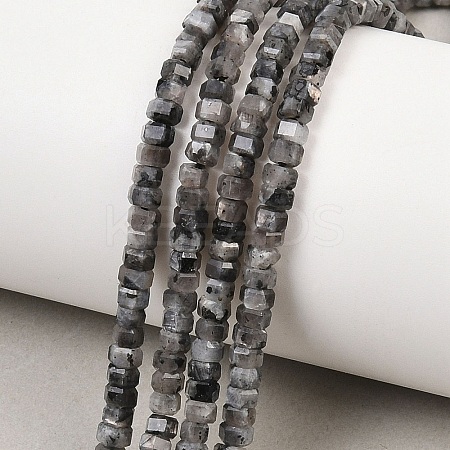 Natural Larvikite Beads Strands G-G345-C05-2x4mm-1