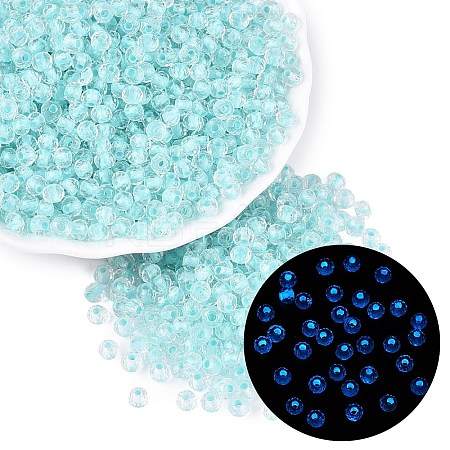 FGB Grade A Transparent Glass Seed Beads SEED-Q040-03A-02-1