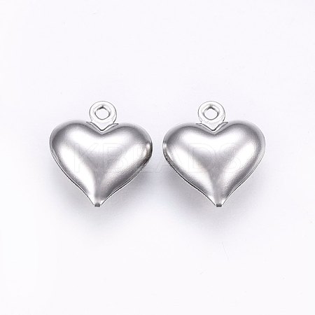 Tarnish Resistant 304 Stainless Steel Charms STAS-E438-19P-1