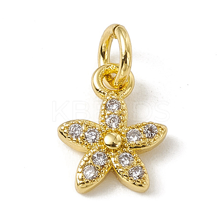 Brass Micro Pave Cubic Zirconia Charms ZIRC-F132-99G-1