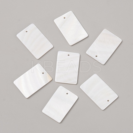 Natural Freshwater Shell Pendants SHEL-TAC0001-03-1